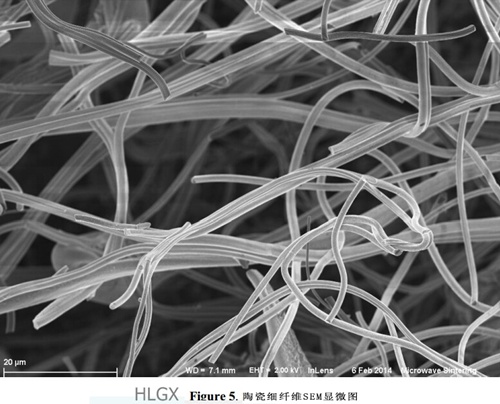 陶瓷纖維S微觀(guān)圖片
